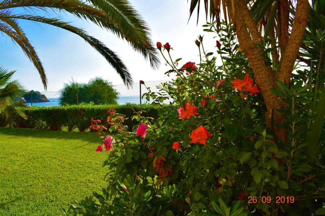 Bungalo En Primera Linea De La Playa El Campello Exteriör bild